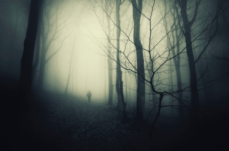 figure in misty woods
